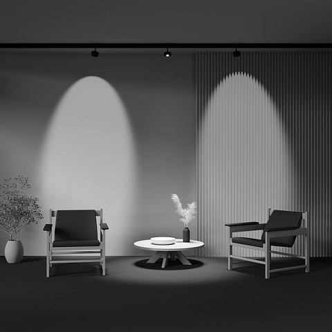 Светильник на шине Maytoni TR217-4-15WTW-DD-B