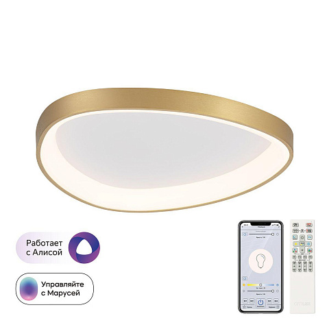 Накладной светильник Citilux CL756A142