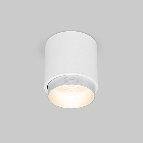 Накладной светильник Elektrostandard Cors 10W (25032/LED) белый/серебро