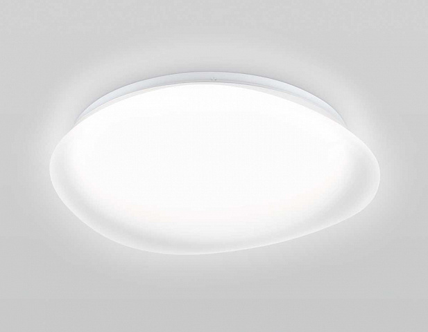 Накладной светильник Ambrella Light FZ1610
