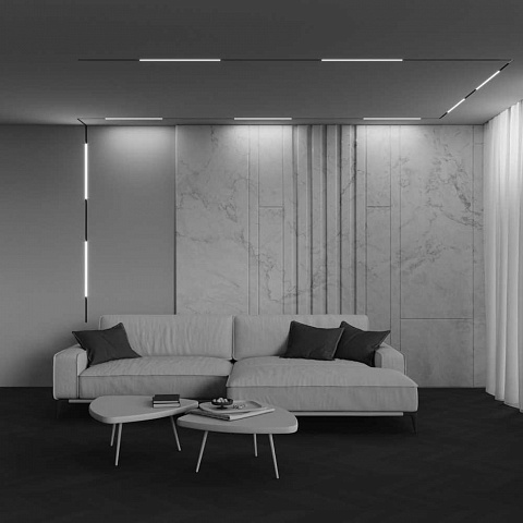 Трековый светильник Maytoni Technical EXILITY X Basis TR240-2-12W4K-B