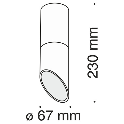 Накладной светильник Maytoni C025CL-01B