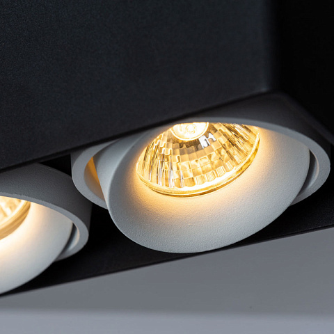 Накладной светильник ARTE Lamp A5654PL-2BK