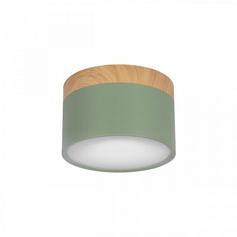 Накладной светодиодный светильник Loft IT Grape 10162 Green