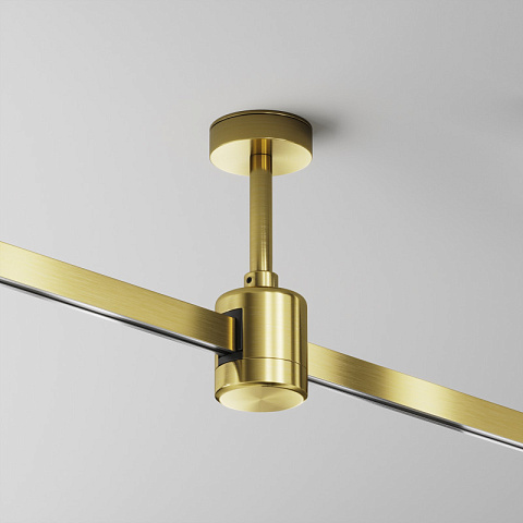 Подвесной комплект Maytoni TRA156C-IPC1-BS