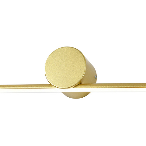 Светильник для картин Escada 10291/1LED Gold