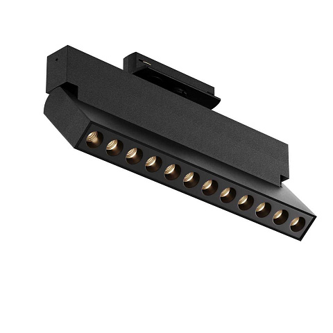 Светильник на шине Maytoni TR224-1-12WCCT-M-B