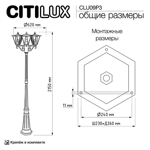 Садово-парковый светильник Citilux CLU09P3