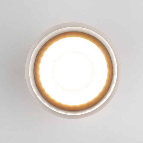 Накладной уличный светильник Elektrostandard Light LED 2107 (35140/H) черный