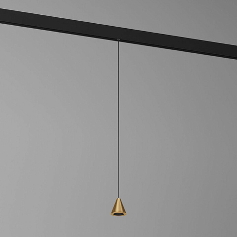 Светильник на шине Elektrostandard 85039/01 латунь