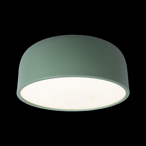 Потолочный детский светильник LOFT IT 10201/350 Green