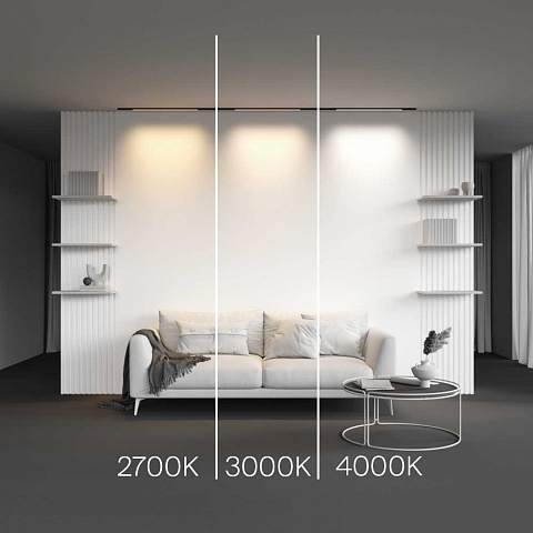 Светильник на шине Maytoni TR190-1-10W3K-B