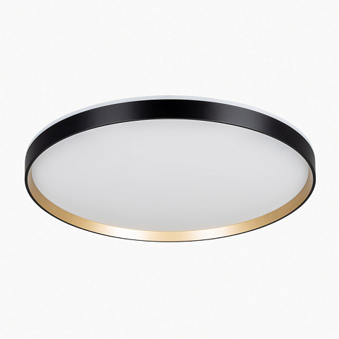 Накладной светильник Citilux CL750501R