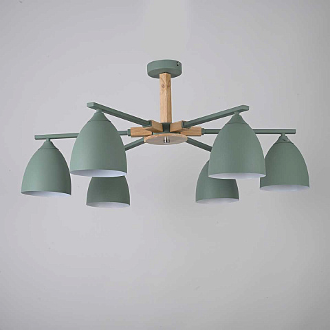 Потолочная люстра Imperium Loft Noa 6 Mint 183467-26