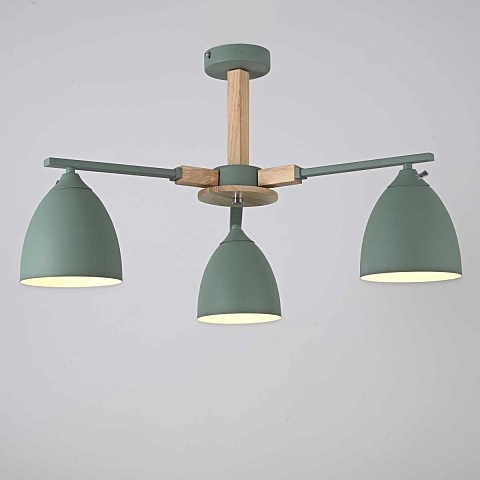 Потолочная люстра Imperium Loft Noa 3 Mint 183466-26