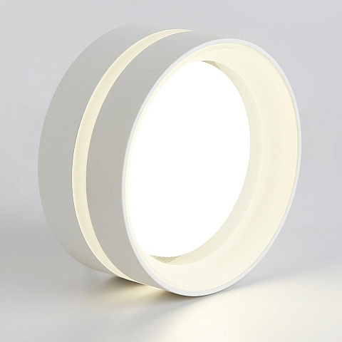 Потолочный светильник Ambrella light TN5419