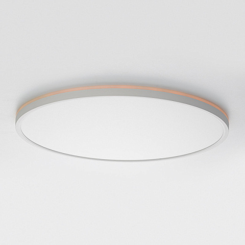 Накладной светильник Citilux CL749500