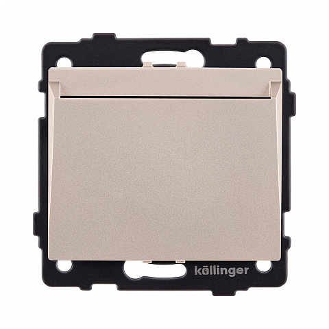 Карточный выключатель механический, золотой Kollinger REA-041GD для Aspekt, Eleganz, Reflex