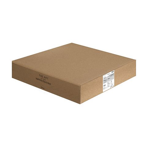 Накладной светильник Freya FR6160CL-L40W