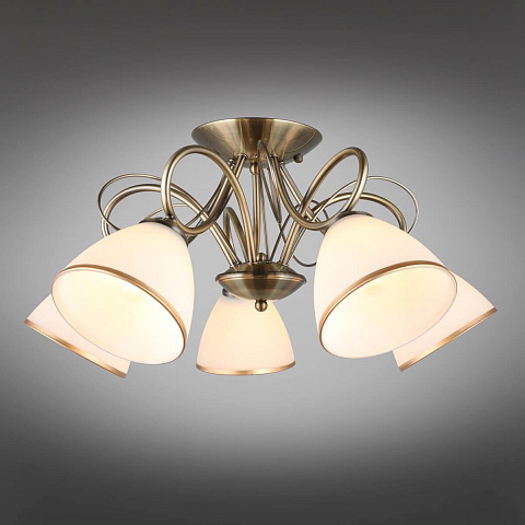 Накладная люстра Omnilux OML-25307-05