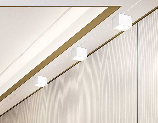 Накладной светильник Ambrella Light TN6530