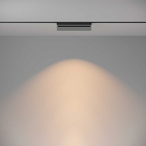Светильник на шине Maytoni TR075-2-20W3K-B