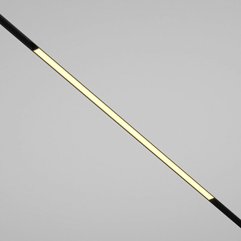 Светильник на шине Maytoni TR030-2-30W2.7K-B