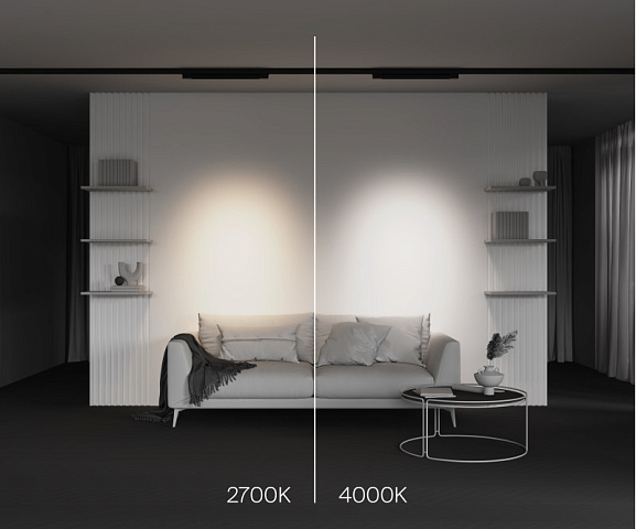 Светильник на шине Maytoni TR195-3-20W2.7K-M-B