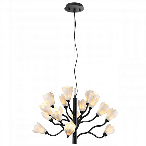 Подвесная люстра Odeon Light 5090/15