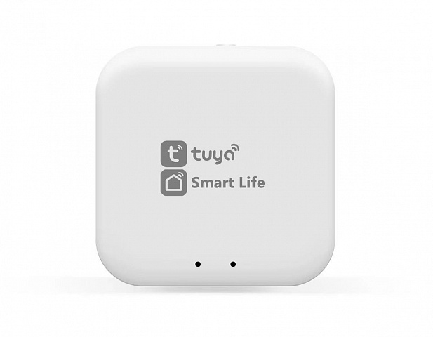 WI-FI конвертер Ambrella Light GL1920