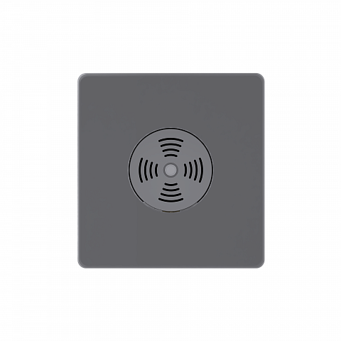 Systeme Electric Systeme Infinity Вулканический пепел Выключатель звуковой 100Вт с выдержкой времени