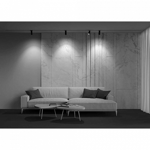 Светильник на шине Maytoni TR021-1-124K-Z-B