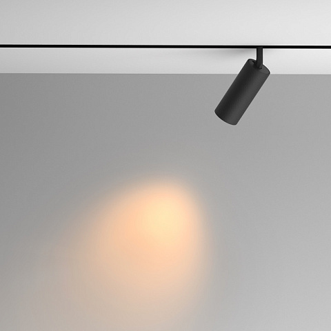Светильник на шине Maytoni TR097-2-12W2.7K-M-BB