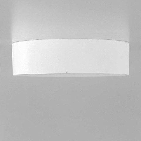 Накладной светильник Citilux CL712120N