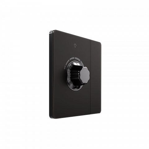 Systeme Electric Systeme Infinity Полярная ночь Светорегулятор TRIAC c выключателем 300Вт