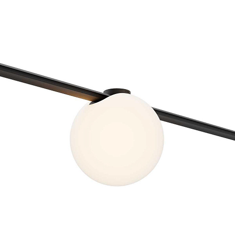 Светильник на шине Maytoni TR236-1-5W3K-B