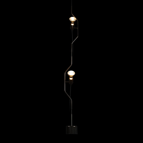 Потолочный детский светильник LOFT IT 10346/2 Black