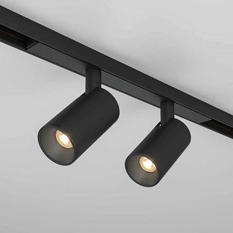 Светильник на шине Maytoni TR176-1-2X5WTW-M-B