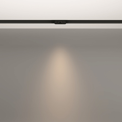 Светильник на шине Maytoni TR100-2-2W4K-S-B