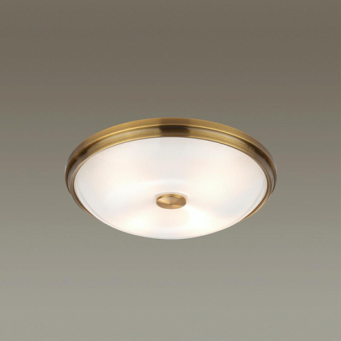 Накладной светильник Odeon Light 4956/4