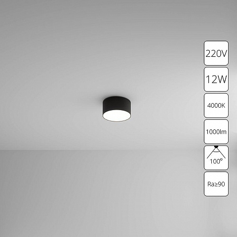 Накладной светильник ARTE Lamp A6612PL-1BK