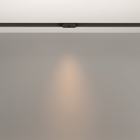 Светильник на шине Maytoni TR100-2-2W3K-S-B