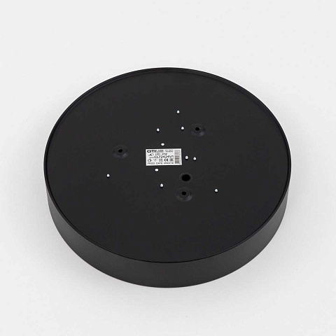 Накладной светильник Citilux CL72424V1