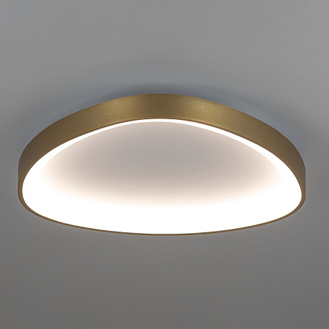 Накладной светильник Citilux CL756A142