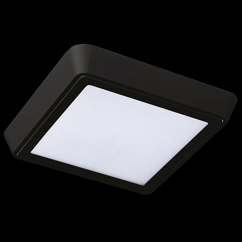 Влагозащищенный светильник Lightstar 216874