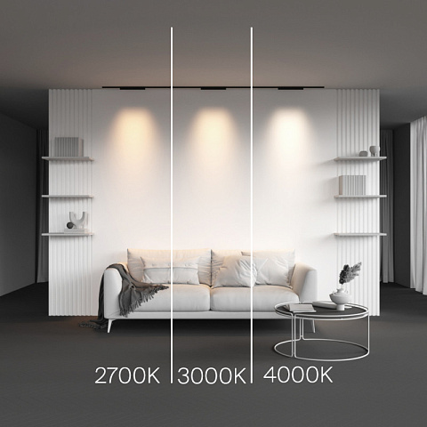 Светильник на шине Maytoni TR193-1-15W2.7K-M-B
