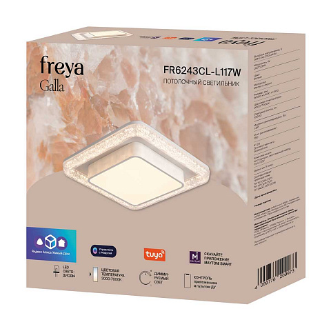 Накладной светильник Freya FR6243CL-L117W