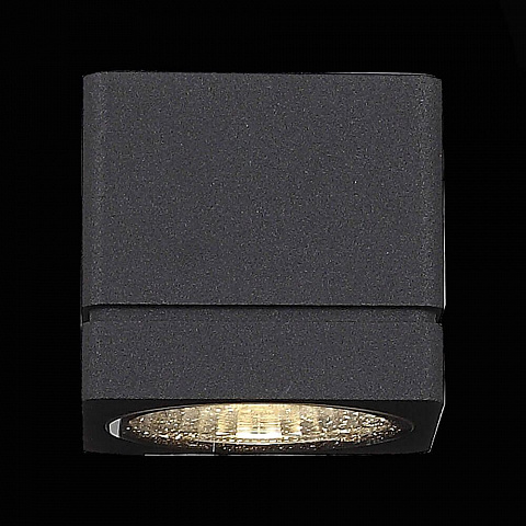 Уличный настенный светодиодный светильник ST Luce Coctobus SL563.401.01