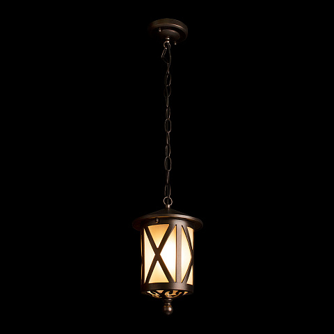 Подвесной уличный светильник LOFT IT 100016P