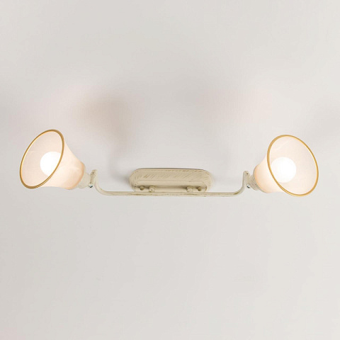 Спот Citilux CL511524